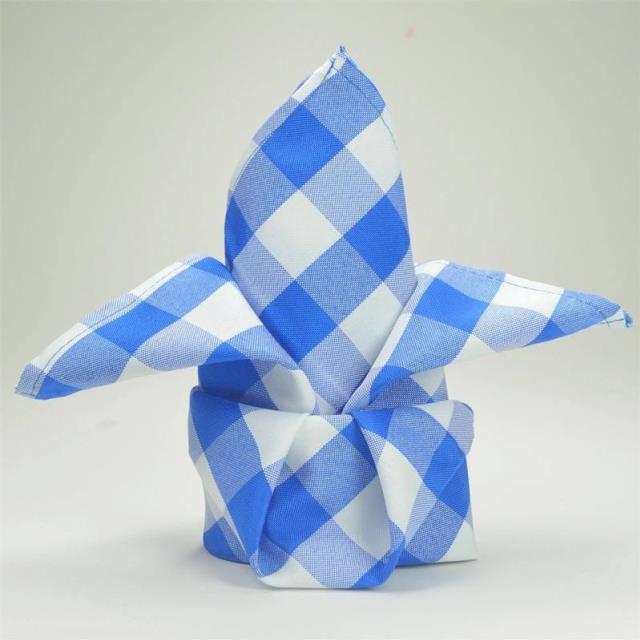 Rental store for NAPKIN, 20X20 GINGHAM BLUE   WHITE in New Orleans LA