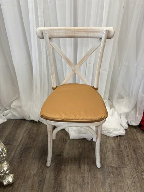 Rental store for CHAIR PAD, BROWN in New Orleans LA